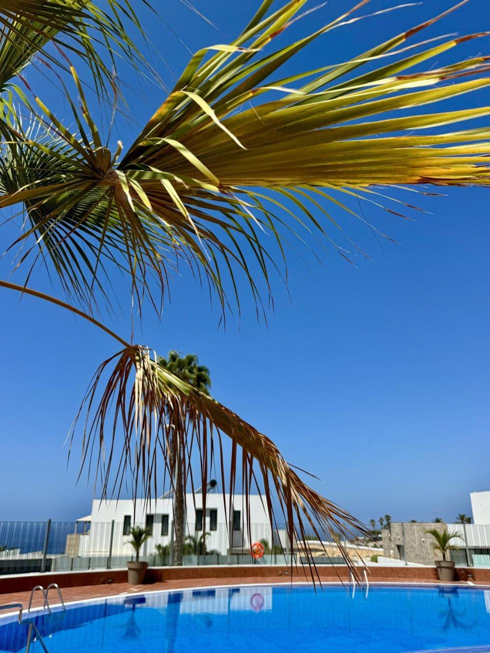 Stunning Apartments With Pool Tenerife Costa Adeje  ภายนอก รูปภาพ