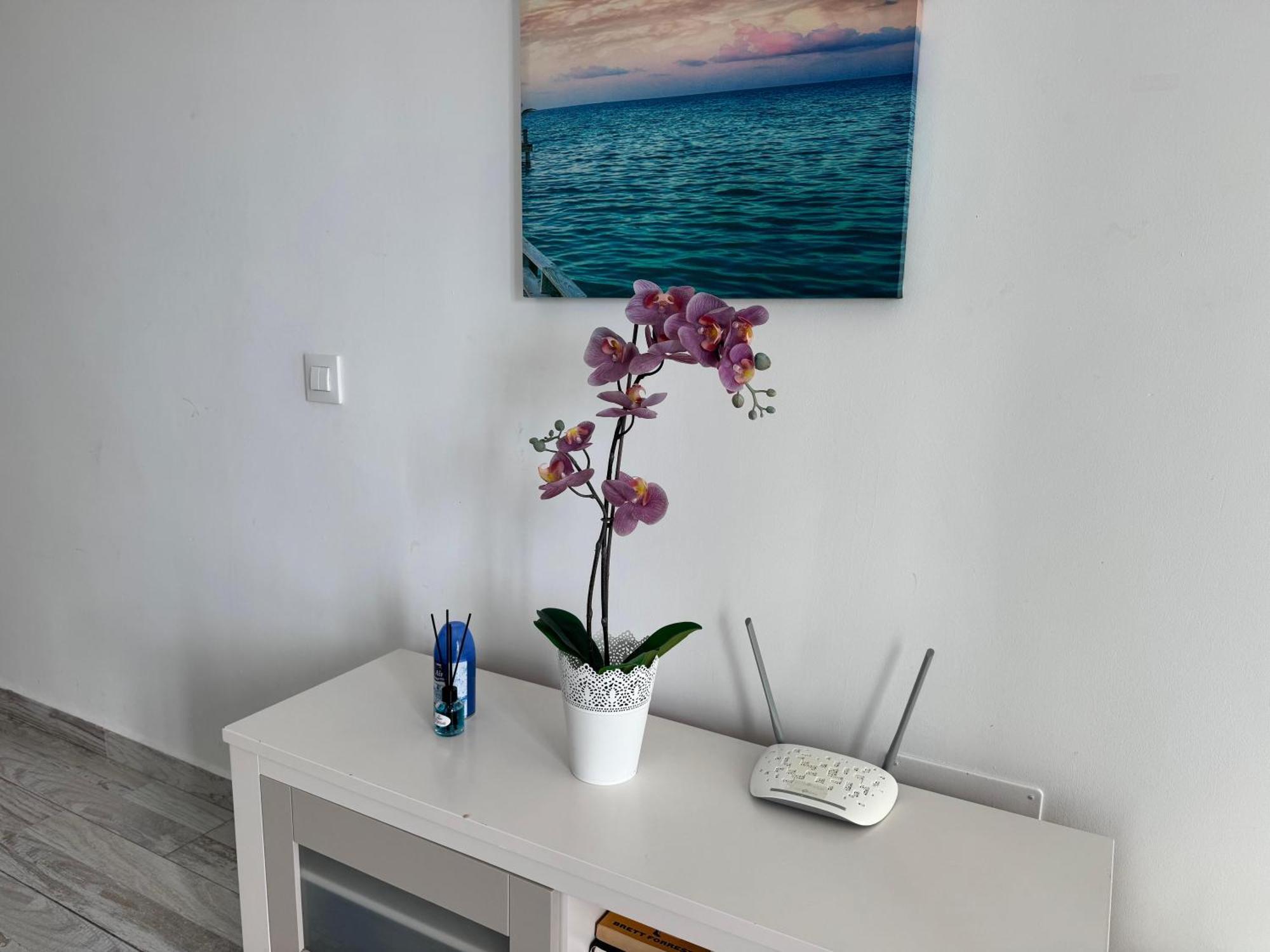 Stunning Apartments With Pool Tenerife Costa Adeje  ภายนอก รูปภาพ