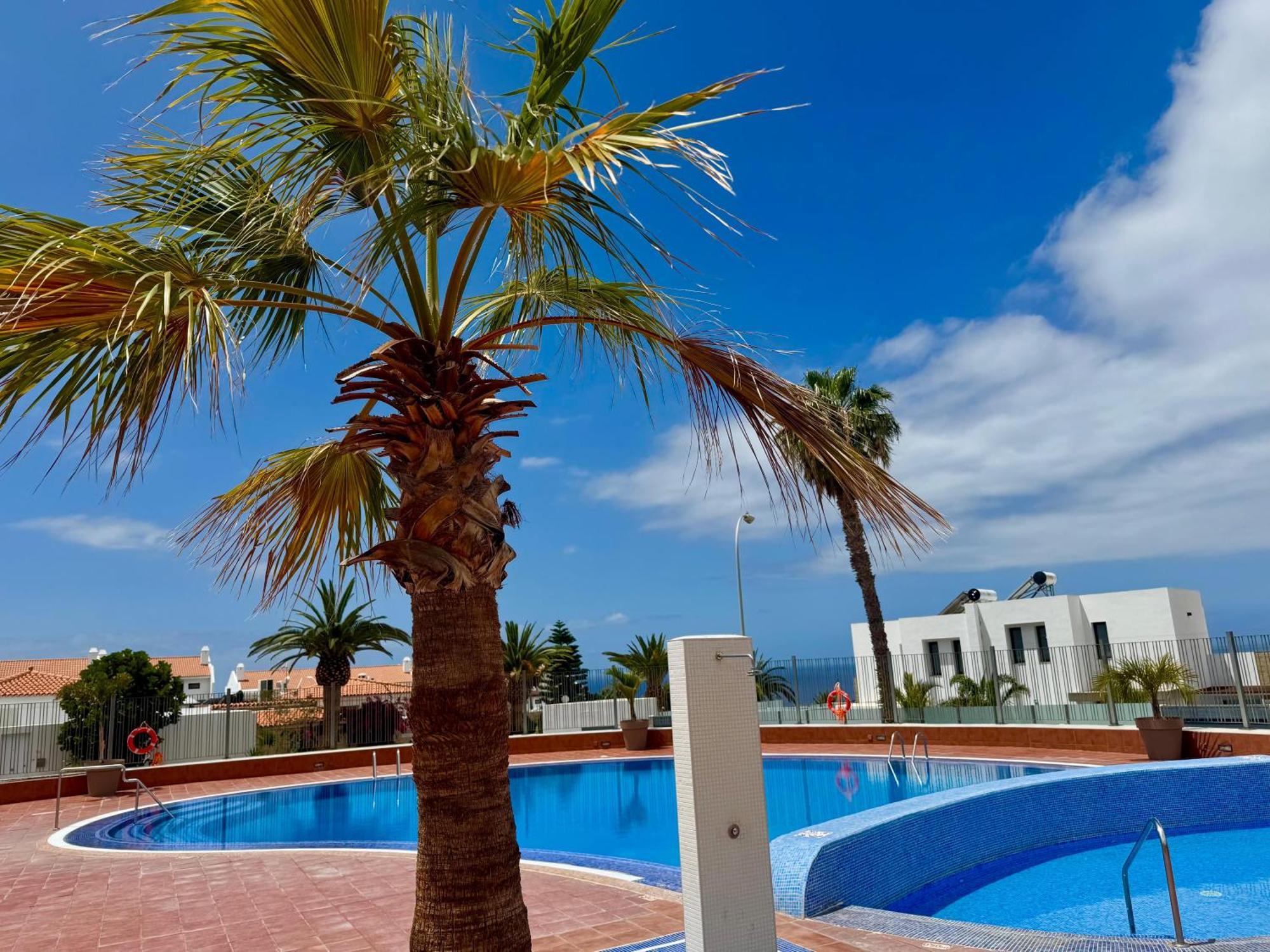 Stunning Apartments With Pool Tenerife Costa Adeje  ภายนอก รูปภาพ