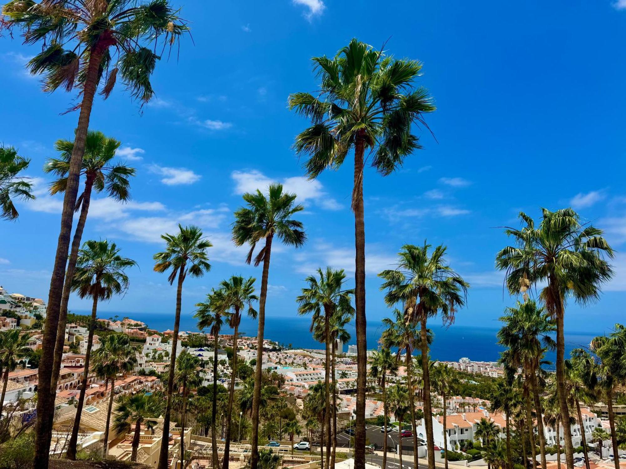 Stunning Apartments With Pool Tenerife Costa Adeje  ภายนอก รูปภาพ